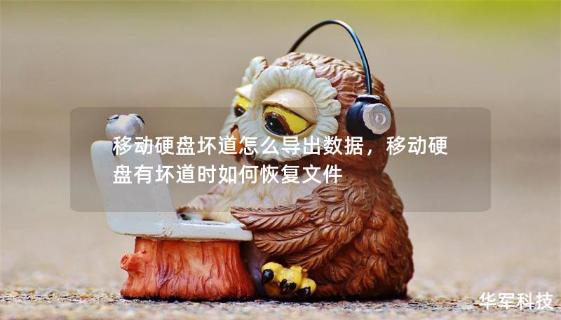 移动硬盘坏道怎么导出数据，移动硬盘有坏道时如何恢复文件