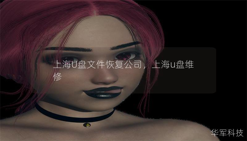 上海U盘文件恢复公司，上海u盘维修