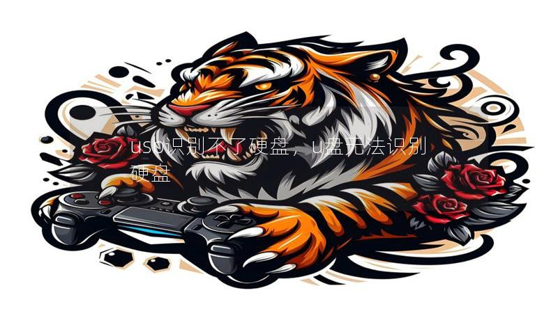 usb识别不了硬盘，u盘无法识别硬盘