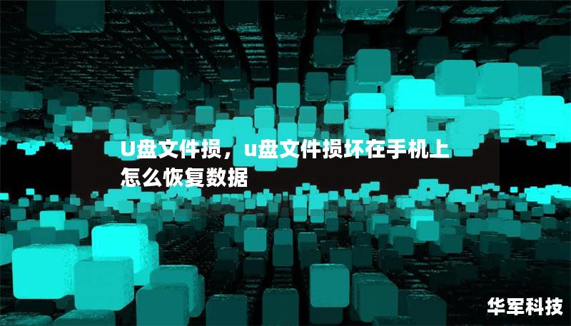 U盘文件损，u盘文件损坏在手机上怎么恢复数据