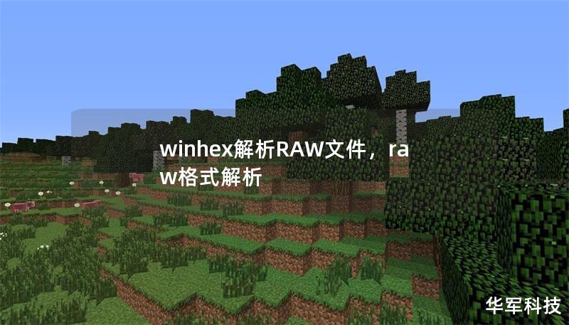 winhex解析RAW文件，raw格式解析