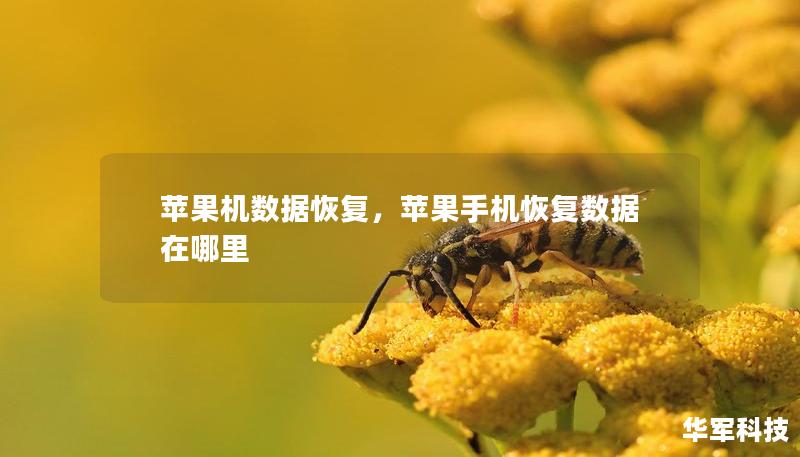 苹果机数据恢复,苹果手机恢复数据在哪里 苹果机数据恢复,苹果手机恢复数据在哪里
