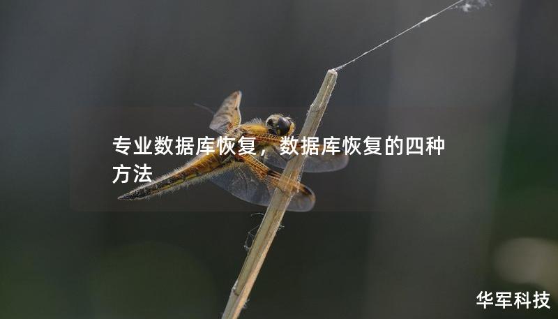 专业数据库恢复，数据库恢复的四种方法