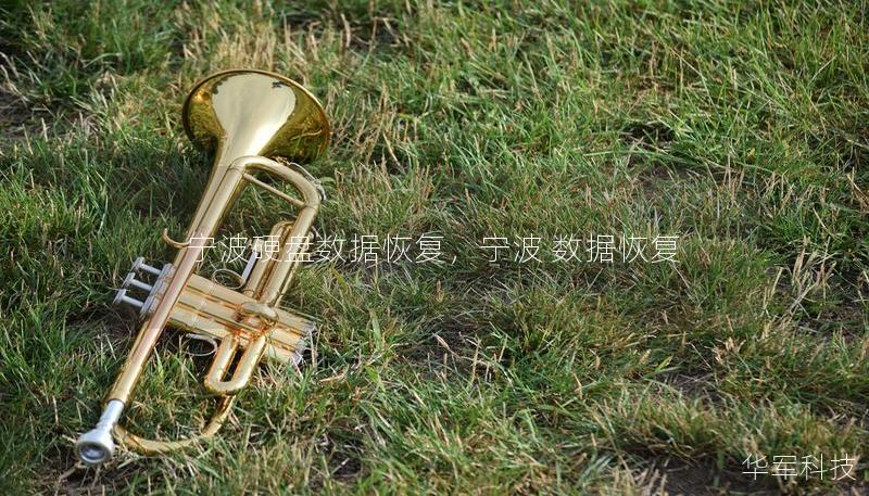 宁波硬盘数据恢复,宁波 数据恢复 宁波硬盘数据恢复,宁波 数据恢复