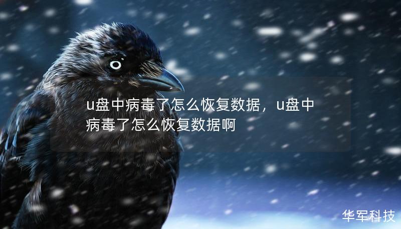 u盘中病毒了怎么恢复数据，u盘中病毒了怎么恢复数据啊