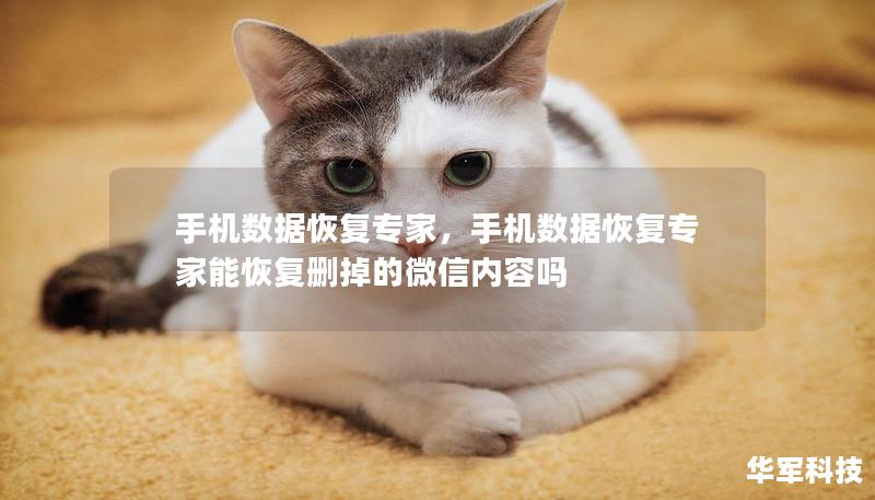 手机数据恢复专家，手机数据恢复专家能恢复删掉的微信内容吗