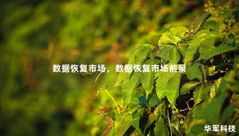 数据恢复市场，数据恢复市场前景