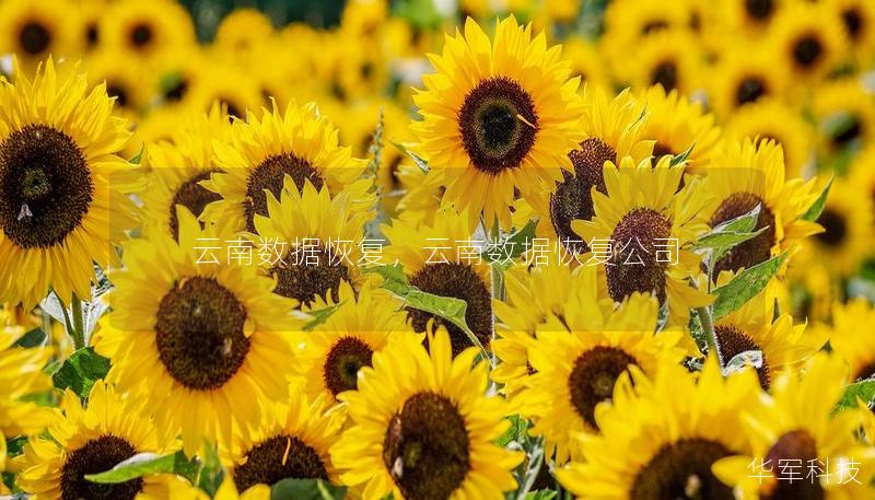 云南数据恢复，云南数据恢复公司