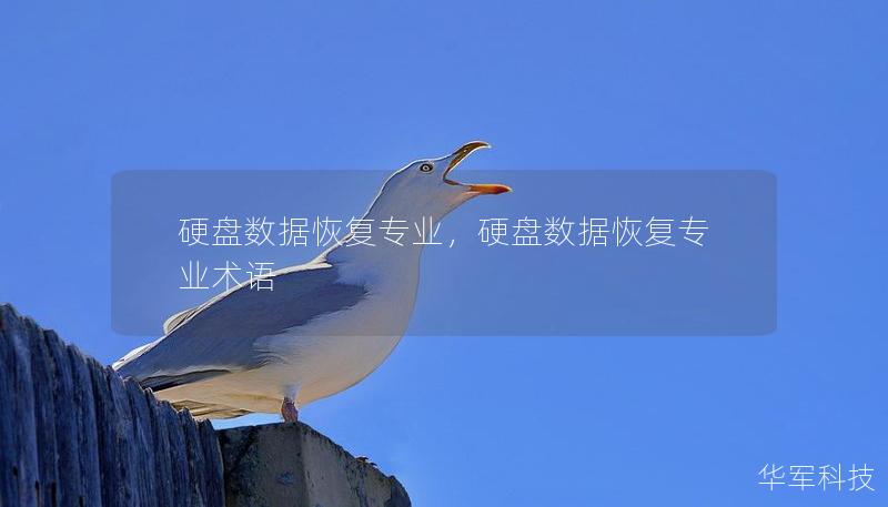 硬盘数据恢复专业，硬盘数据恢复专业术语