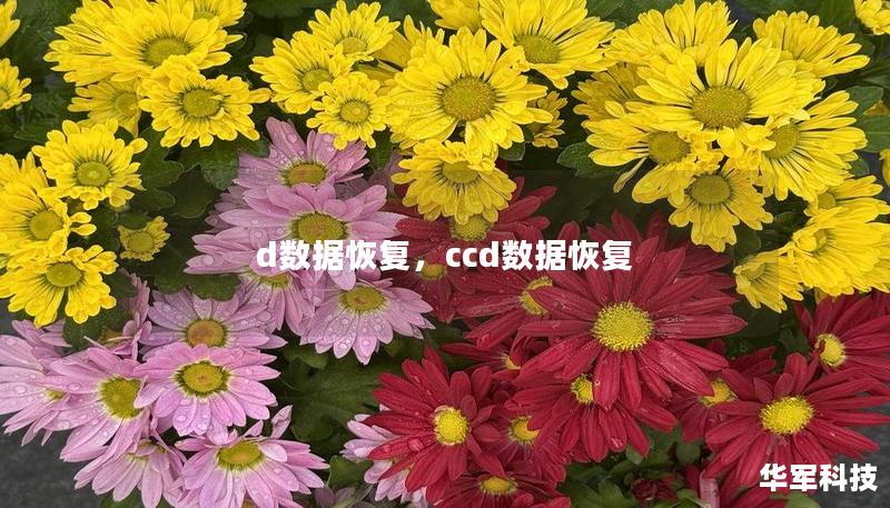 d数据恢复，ccd数据恢复