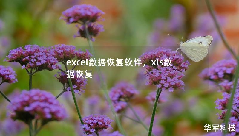 excel数据恢复软件，xls数据恢复