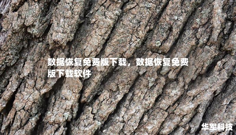 数据恢复免费版下载，数据恢复免费版下载软件