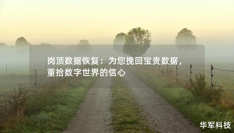 岗顶数据恢复：为您挽回宝贵数据，重拾数字世界的信心