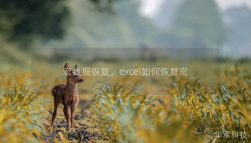 宏数据恢复，excel如何恢复宏