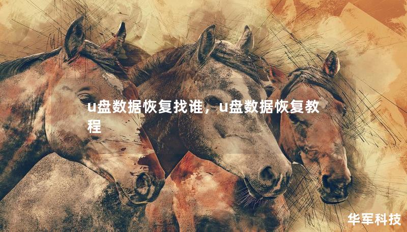 u盘数据恢复找谁，u盘数据恢复教程