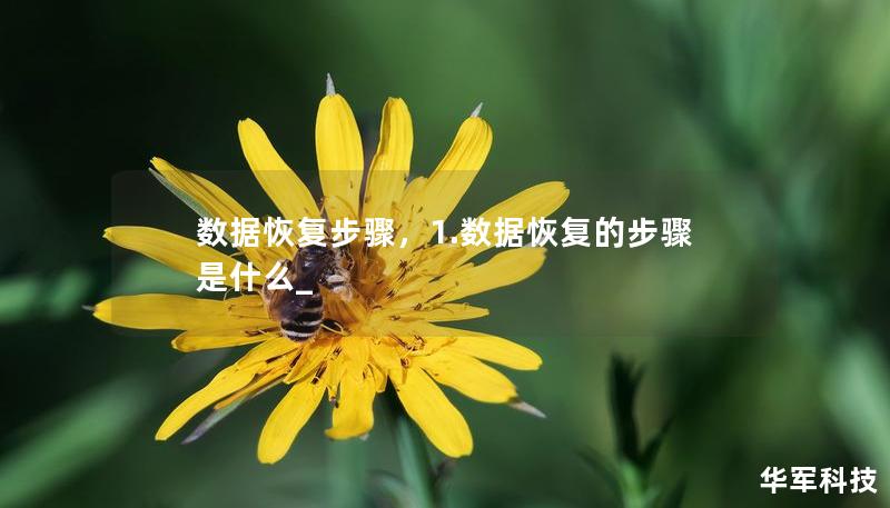 数据恢复步骤，1.数据恢复的步骤是什么_