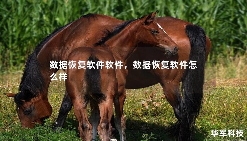 数据恢复软件软件，数据恢复软件怎么样