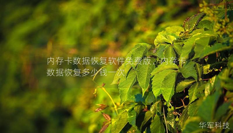 内存卡数据恢复软件免费版，内存卡数据恢复多少钱一次