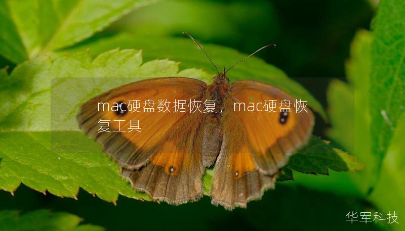 mac硬盘数据恢复，mac硬盘恢复工具