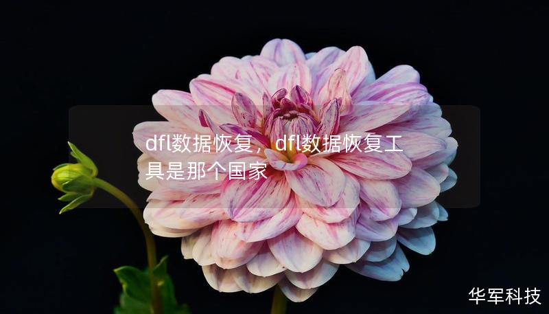 dfl数据恢复，dfl数据恢复工具是那个国家