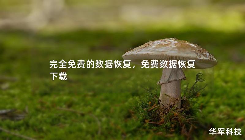完全免费的数据恢复，免费数据恢复下载