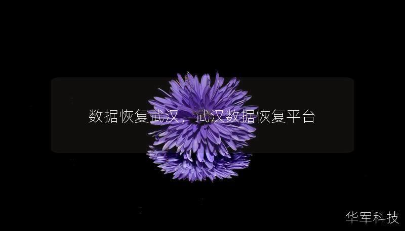 数据恢复武汉，武汉数据恢复平台
