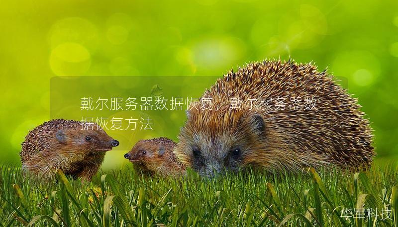 戴尔服务器数据恢复，戴尔服务器数据恢复方法