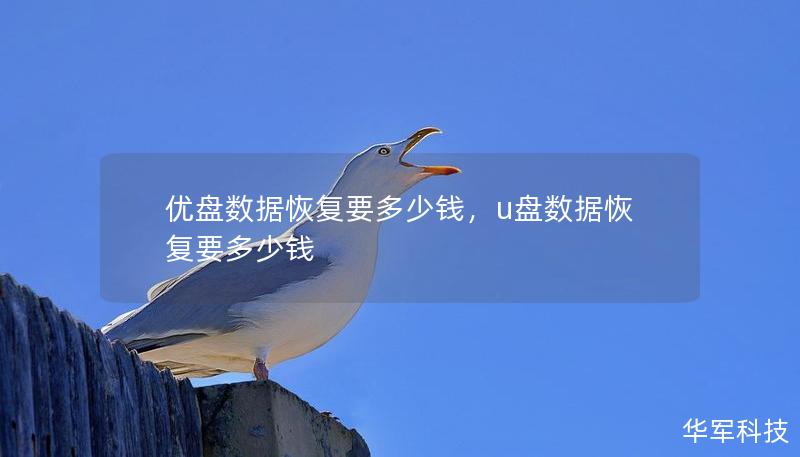 优盘数据恢复要多少钱，u盘数据恢复要多少钱