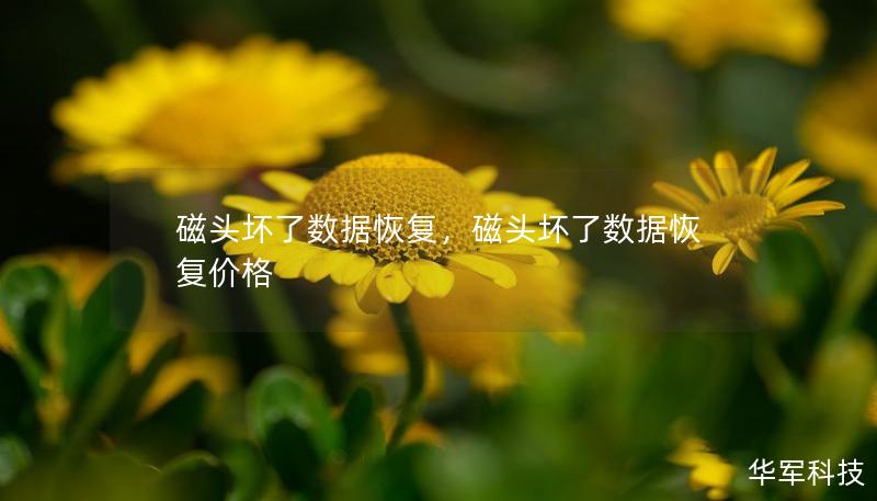 磁头坏了数据恢复，磁头坏了数据恢复价格