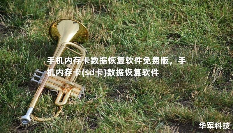 手机内存卡数据恢复软件免费版，手机内存卡(sd卡)数据恢复软件
