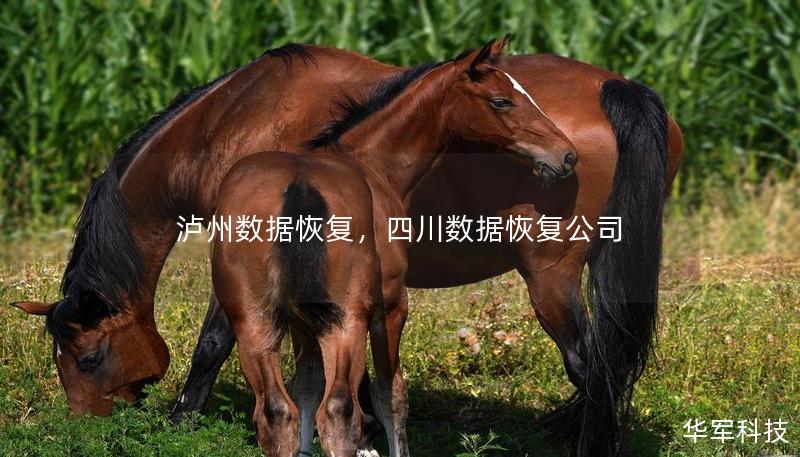 泸州数据恢复，四川数据恢复公司