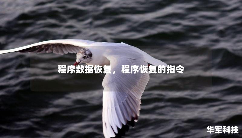 程序数据恢复，程序恢复的指令