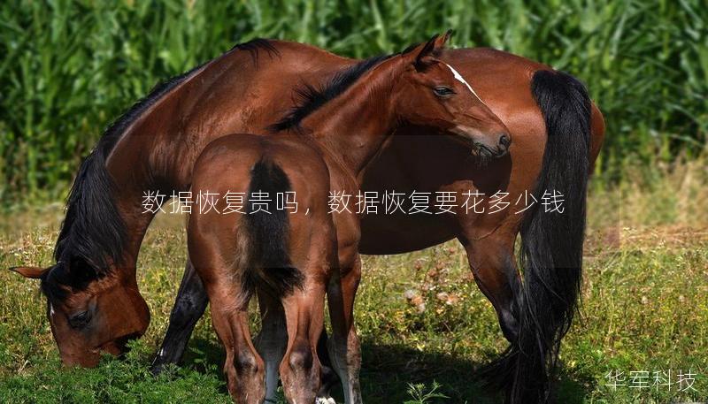 数据恢复贵吗，数据恢复要花多少钱