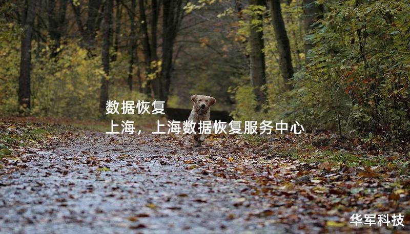 数据恢复 上海，上海数据恢复服务中心