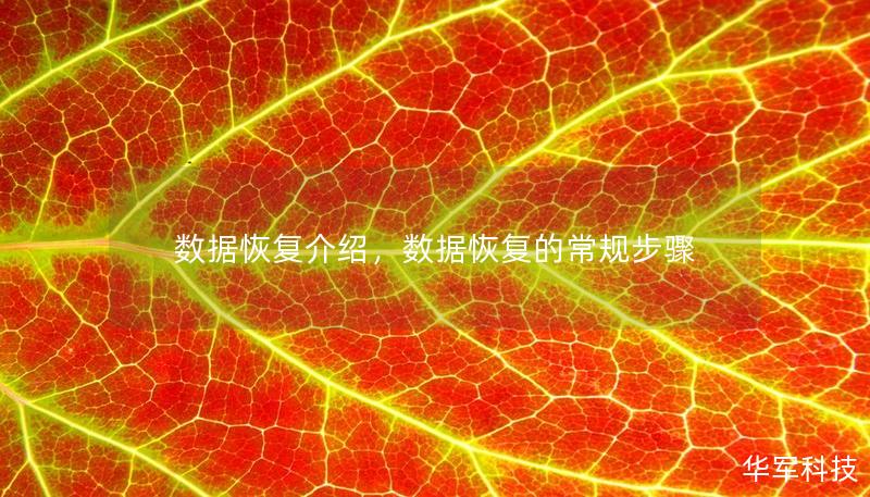 数据恢复介绍，数据恢复的常规步骤