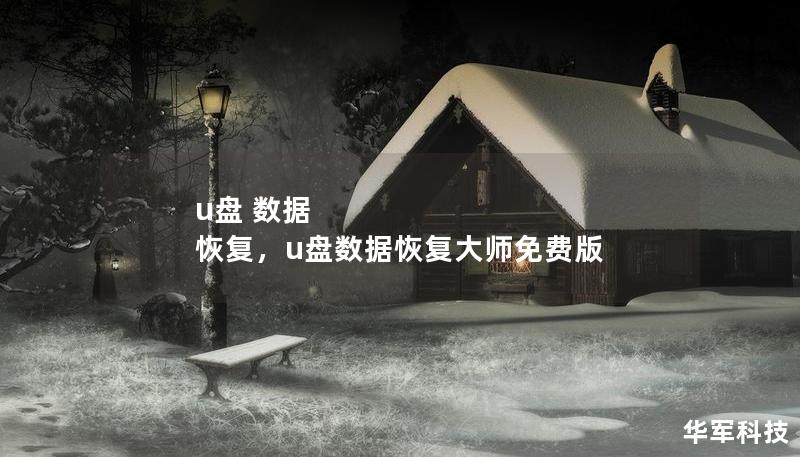 u盘 数据 恢复，u盘数据恢复大师免费版