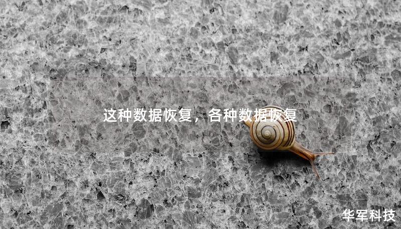 这种数据恢复，各种数据恢复