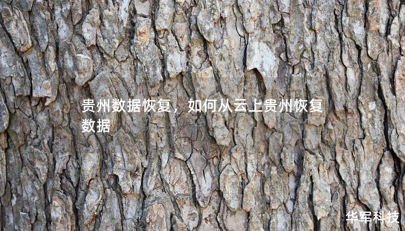 贵州数据恢复，如何从云上贵州恢复数据