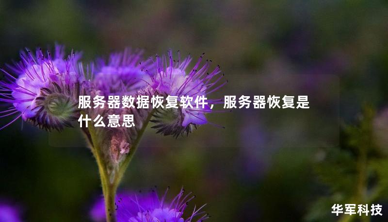 服务器数据恢复软件，服务器恢复是什么意思