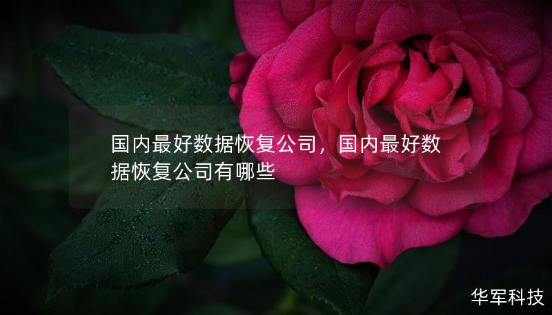 国内最好数据恢复公司，国内最好数据恢复公司有哪些