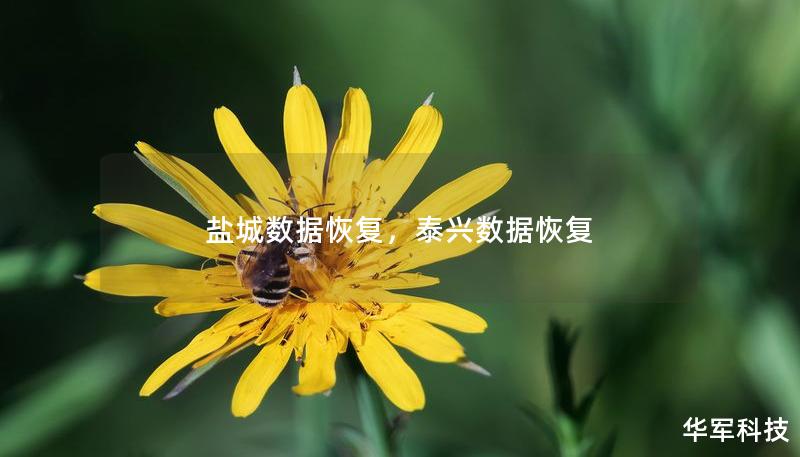盐城数据恢复，泰兴数据恢复