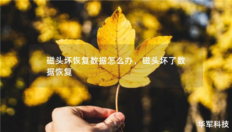 磁头坏恢复数据怎么办，磁头坏了数据恢复