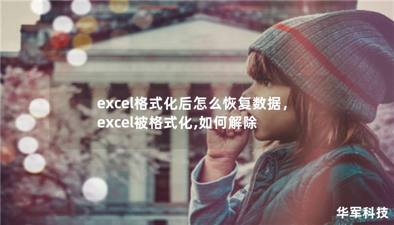 excel格式化后怎么恢复数据，excel被格式化,如何解除