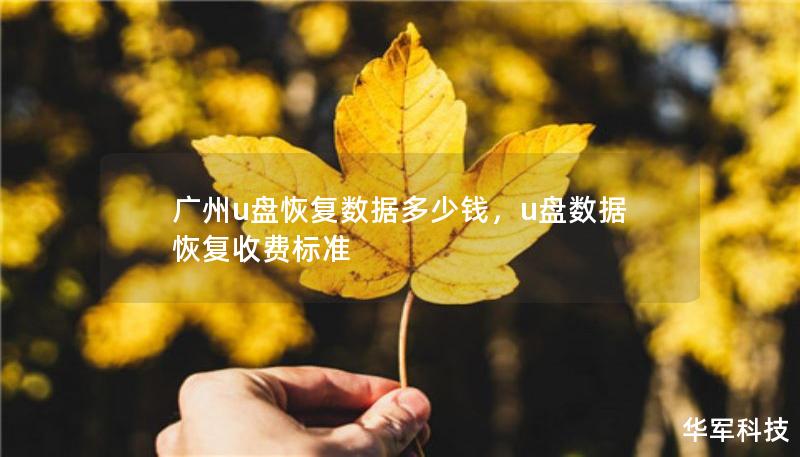 广州u盘恢复数据多少钱，u盘数据恢复收费标准