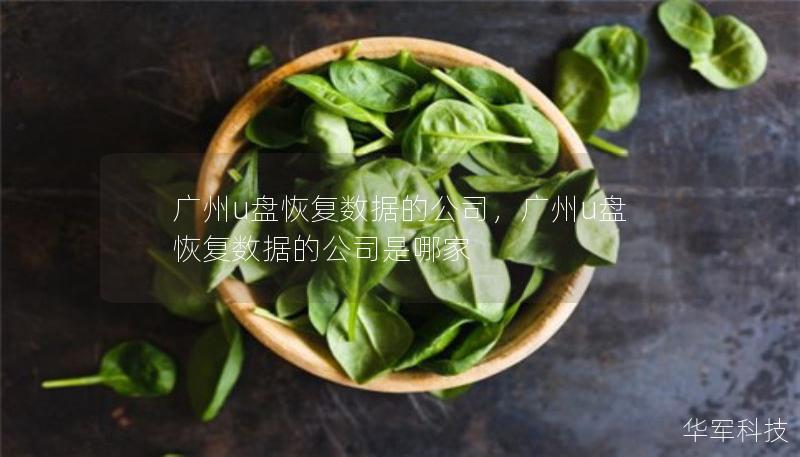 广州u盘恢复数据的公司，广州u盘恢复数据的公司是哪家