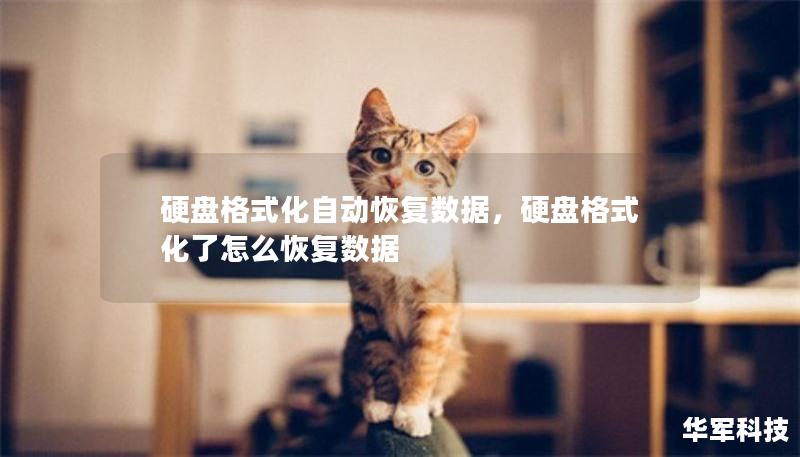 硬盘格式化自动恢复数据，硬盘格式化了怎么恢复数据