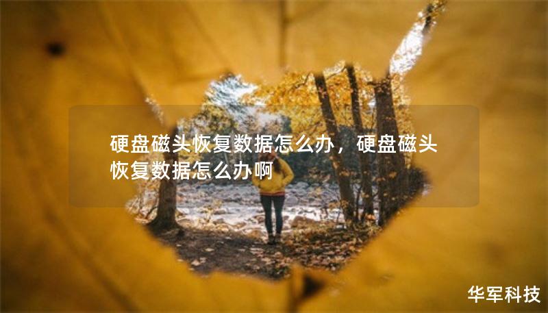 硬盘磁头恢复数据怎么办，硬盘磁头恢复数据怎么办啊
