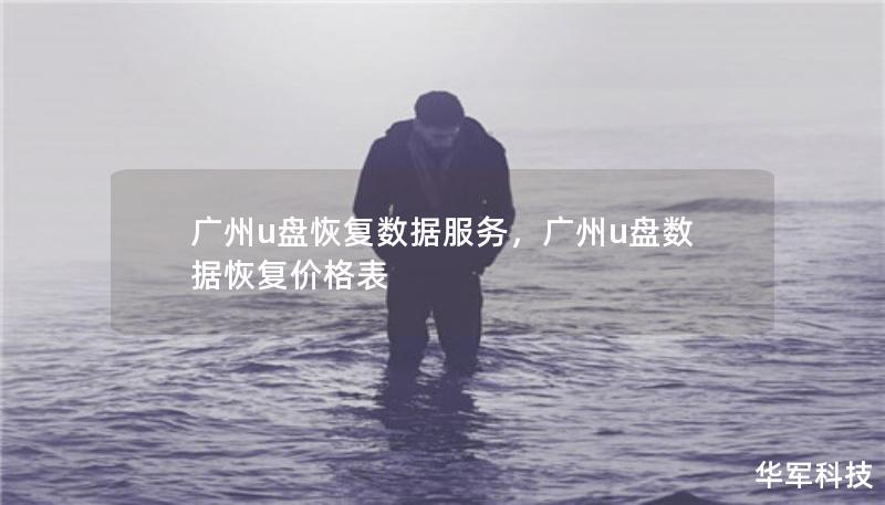 广州u盘恢复数据服务，广州u盘数据恢复价格表