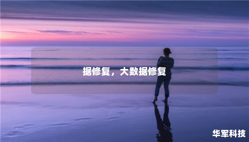 据修复，大数据修复