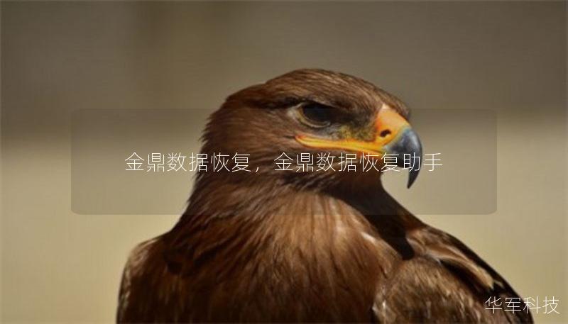 金鼎数据恢复，金鼎数据恢复助手